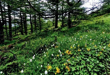 太白山：于山水画卷中邂逅诗仙遗韵2