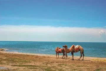 青海湖之美：“高原明珠”的璀璨与深邃6