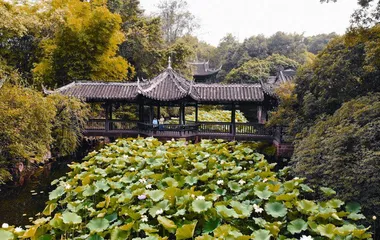 眉山——樱花烂漫 灿若云霞7