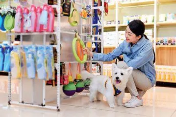 “它力量”崛起:宠物如何重塑当代社会的情感生态1