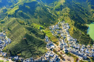 水墨黄山 梦幻之旅1
