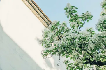 福州印记：三坊七巷与鼓山的文化之旅4