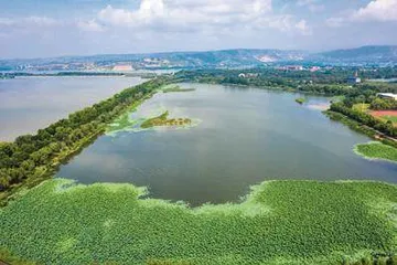 卢氏县：以奖代补 勇蹚水土治理新路径2