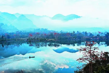 昌江：木棉花开红似火 天上云霞相映红