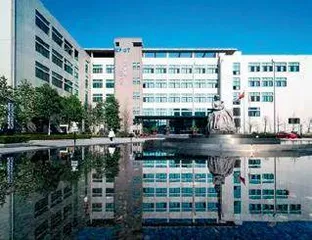 从咬胶代工到市场龙头：佩蒂股份打造中国宠物食品产业升级样本