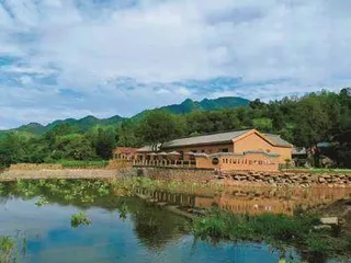 卢氏县：以奖代补 勇蹚水土治理新路径4