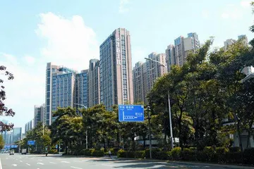 建设新乡村 深圳多家社区股份合作公司“各显其能”