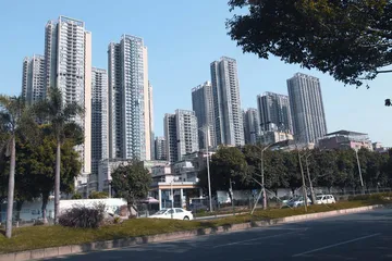 圳埔村：突出党建引领 走好乡村振兴路