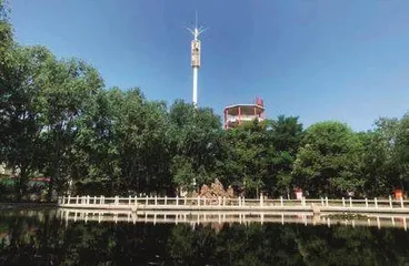 扎实推进乡村全面振兴3