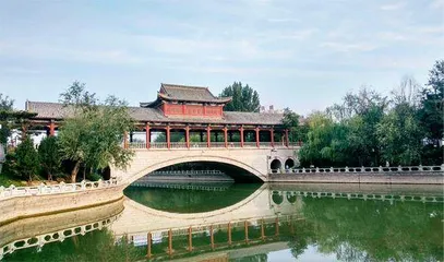 聊城：高质量崛起的新家园6