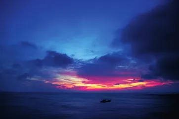 魅力舟山桃花开3