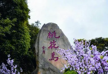 魅力舟山桃花开6