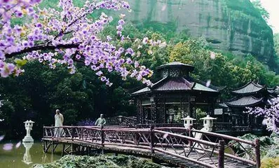 魅力舟山桃花开7