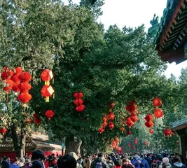 中国庙会文化4