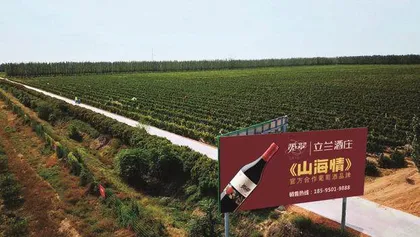 立兰酒庄：以葡萄酒产业绘就闽宁镇发展新画卷