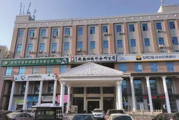 深圳祝龙田公司 推动“百千万工程”提质增效
