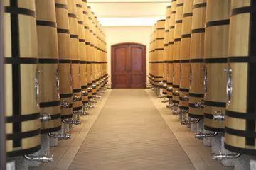 立兰酒庄:以葡萄酒产业绘就闽宁镇发展新画卷2