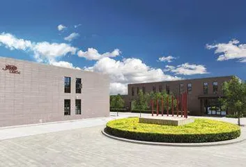 立兰酒庄:以葡萄酒产业绘就闽宁镇发展新画卷3