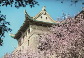 武汉：英雄之城迸发新活力7