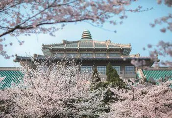 武汉：英雄之城迸发新活力8