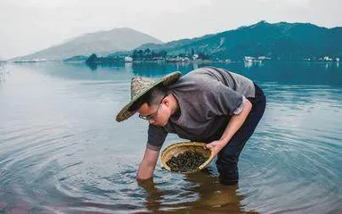 清明螺 赛肥鹅2