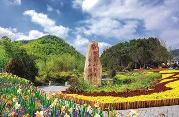 汪玉成：讲述从绿水青山到共同富裕的故事2