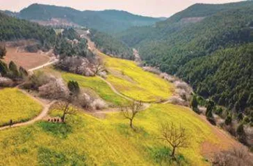 全国人大代表郭爱和：用艺术赋能美丽乡村1