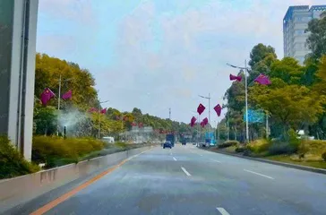 深圳龙华区：续写“深圳蓝”新篇章2