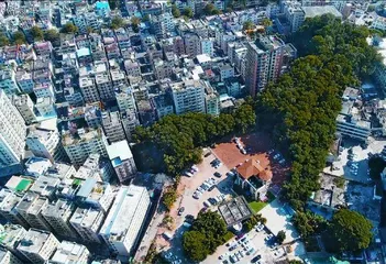 深圳龙华区：续写“深圳蓝”新篇章3