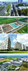 经济腾飞的“南桥奇迹”1