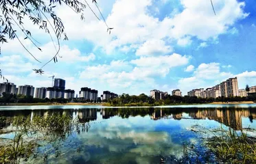界首：昔日“小上海”今天新“养城”3