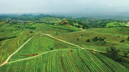 三门峡鑫生源：以新质生产力铸就发展新动能
