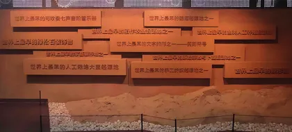 贾湖遗址：触摸九千年前的历史脉络