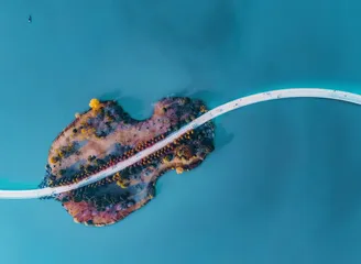 千年庐州 百重韵味12