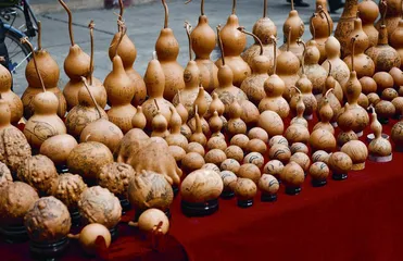 国家非物质文化遗产——葫芦雕2