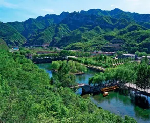 绿色明珠1