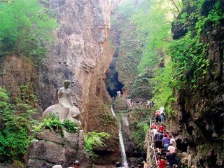 绿色明珠2