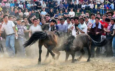 苗族传统文体活动1