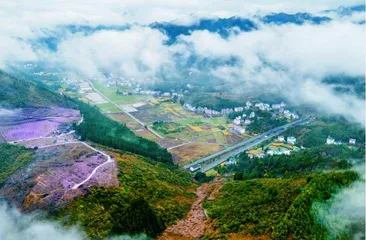 “定阳红·税争锋”党建强基促共富