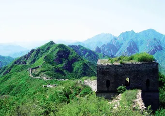 绿色明珠7