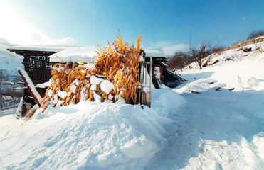 水墨雪村——吉林松岭3