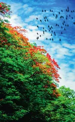 中国阳光花城——攀枝花2