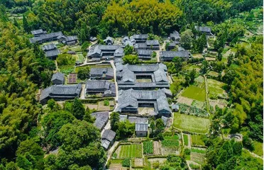 筱村镇徐岙村：奏响乡村振兴“协奏曲”