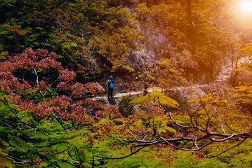 中国阳光花城——攀枝花5