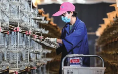 沿着必由之路夺取新的更大胜利7
