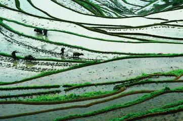 中国阳光花城——攀枝花7