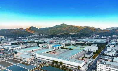 党建联建凝心聚力，强村公司抱团共富