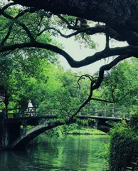 天堂绿肺 西溪湿地2