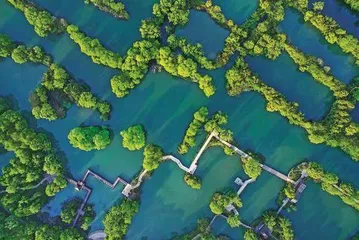 天堂绿肺 西溪湿地4