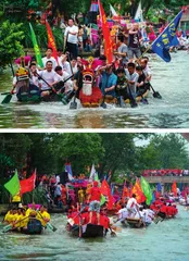 天堂绿肺 西溪湿地5